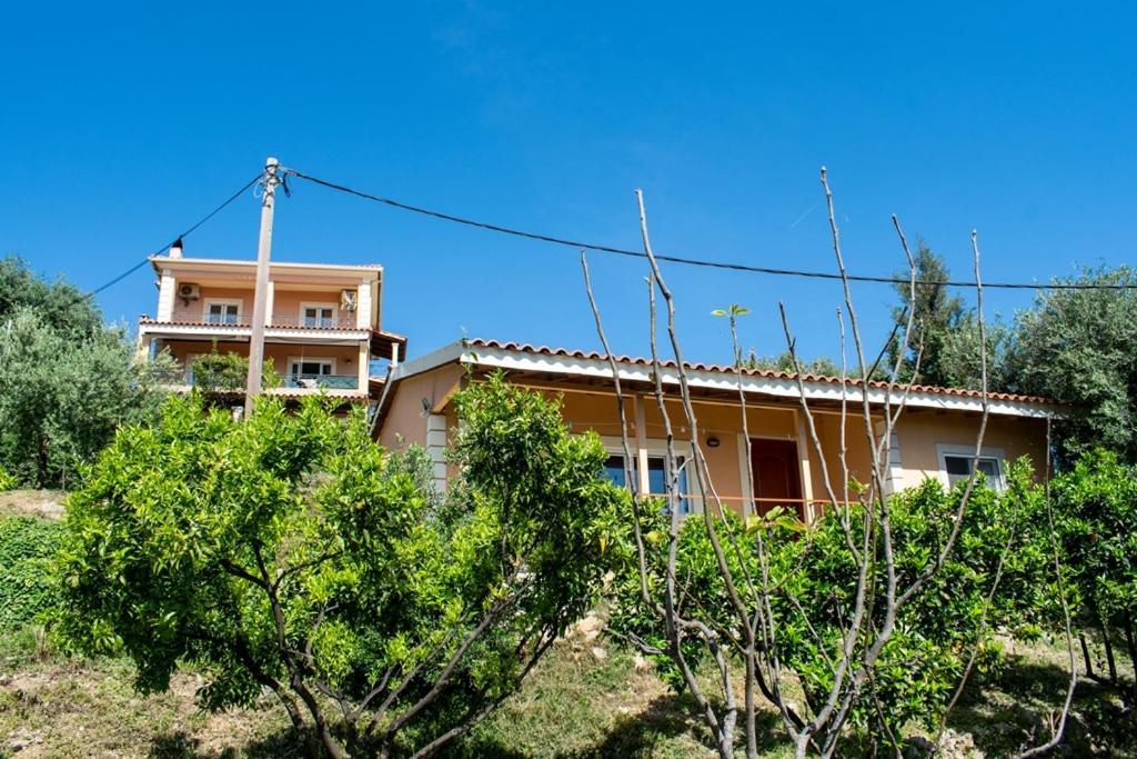 Takis & Eirini Family Apartments 帕拉马 外观 照片