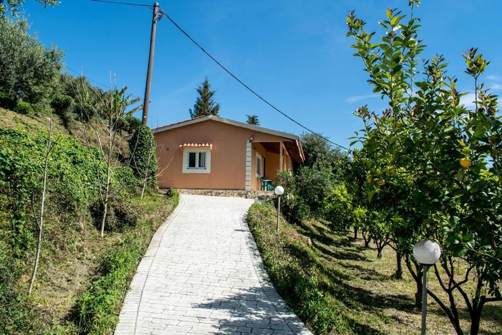 Takis & Eirini Family Apartments 帕拉马 外观 照片