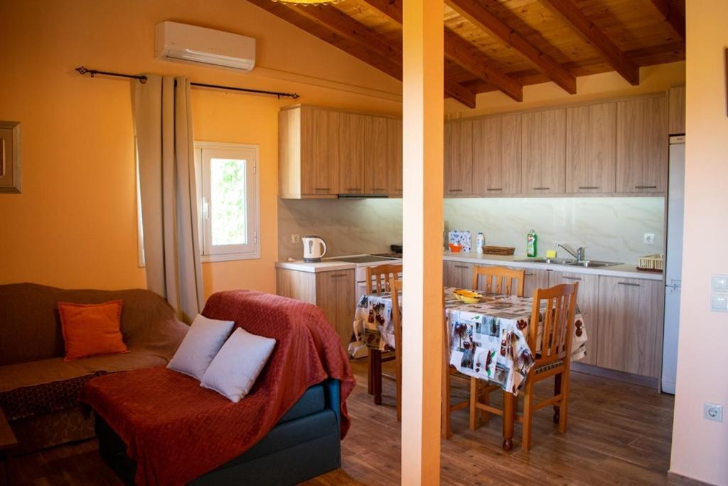 Takis & Eirini Family Apartments 帕拉马 外观 照片
