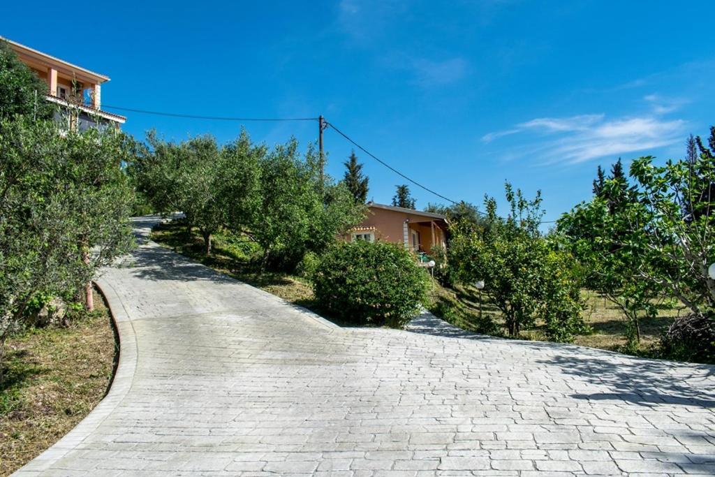 Takis & Eirini Family Apartments 帕拉马 外观 照片