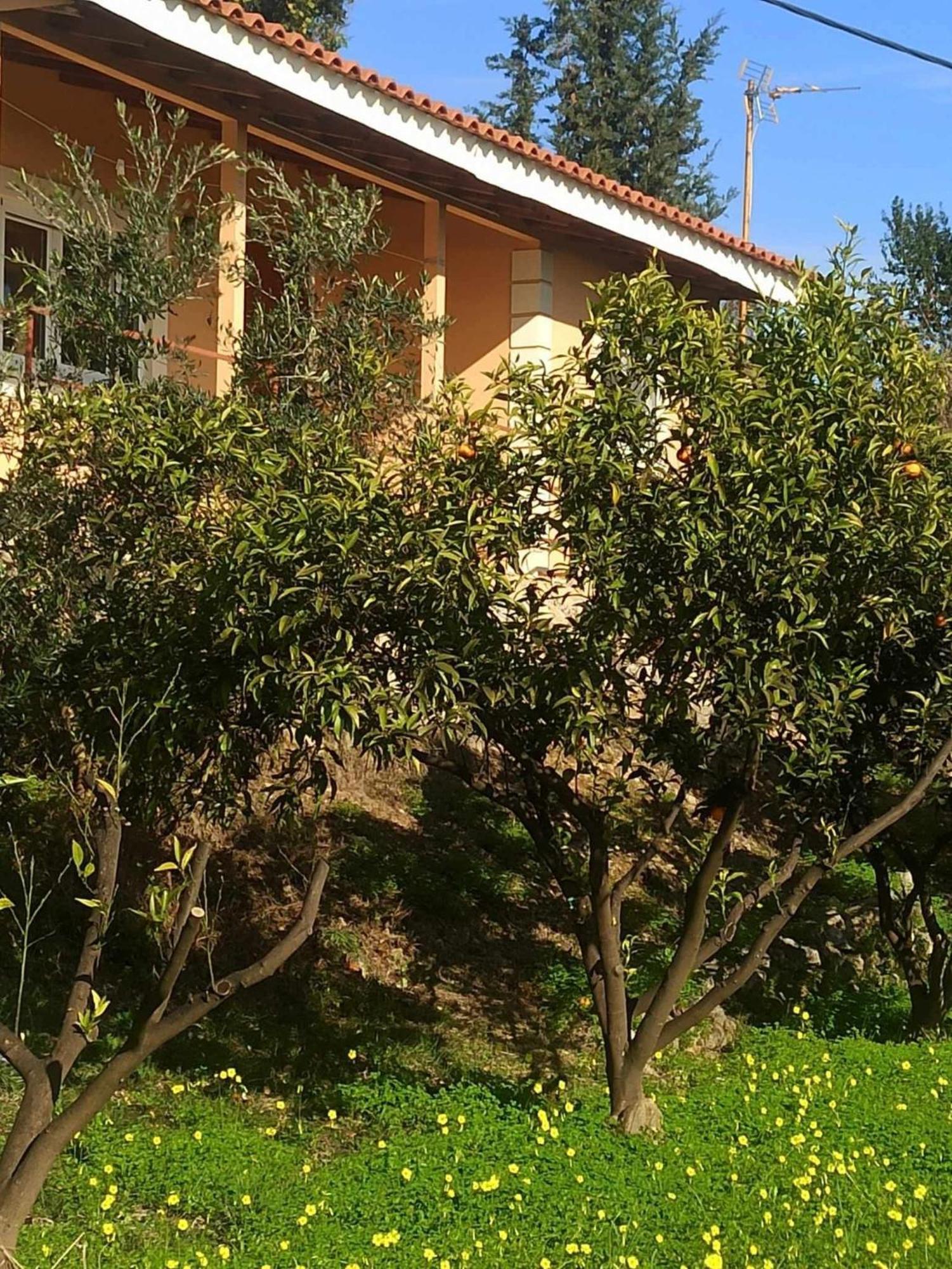 Takis & Eirini Family Apartments 帕拉马 外观 照片